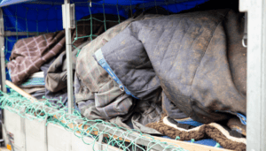 wassen en onderhouden van paardendekens
