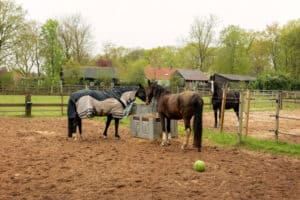 Onderhoud eczeemdekens