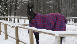 wassen waterdichte dekens