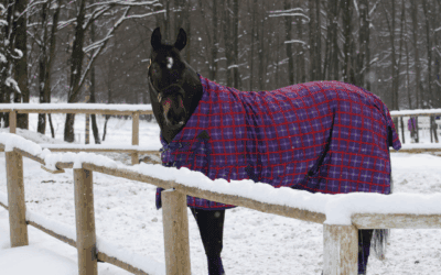 Is wassen slecht voor de waterdichte laag van paardendekens?